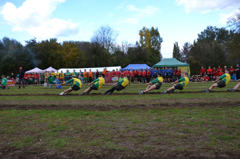 dsc_0181.jpg