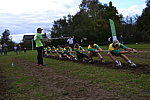dsc_0136.jpg